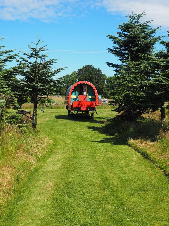 Clissmann Horse Caravans Glamping Rathdrum Exterior foto